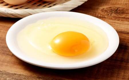 ひめ卵プラス 20個 セット (内割れ保証2個) たまご 卵 玉子 タマゴ 国産 愛媛県産 【えひめの町(超)推し!(内子町)】 (477)