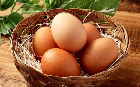 人生これか卵 20個 セット（内割れ保証2個） たまご 卵 玉子 タマゴ 国産 愛媛県産【えひめの町（超）推し！（内子町）】 （479）