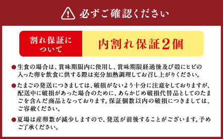 米っ娘卵 20個 セット（内割れ保証2個） たまご 卵 玉子 タマゴ 国産 愛媛県産 【えひめの町（超）推し！（内子町）】 （480）