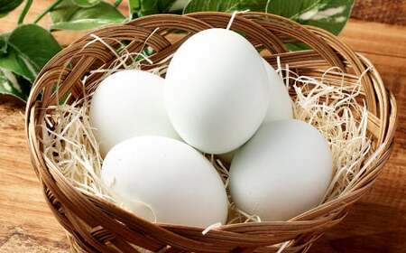 インカの卵 50個 セット （内割れ保証5個） たまご 卵 玉子 タマゴ 国産 愛媛県産 【えひめの町（超）推し！（内子町）】 （486）