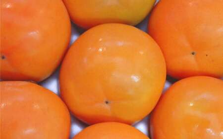 かき酢 【内子町産富有柿使用 醸造酢】 500ml×1本 調味料 柿 かき カキ 富有柿 酢 果実酢 柿酢 愛媛県 【えひめの町（超）推し！（内子町）】（541）