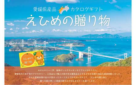 カタログギフト「えひめの贈り物」こみきゃん カタログ ギフト 選べる 34品 みかん じゃこ天 窯揚げしらす レモン 雑貨 工芸品 愛媛県 （593）