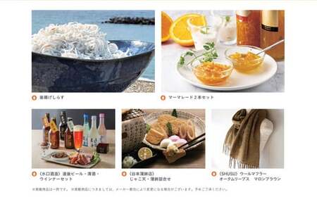 カタログギフト「えひめの贈り物」こみきゃん カタログ ギフト 選べる 34品 みかん じゃこ天 窯揚げしらす レモン 雑貨 工芸品 愛媛県 （593）