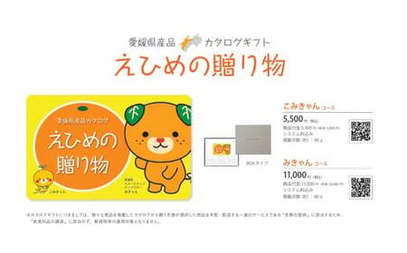 カタログギフト「えひめの贈り物」こみきゃん カタログ ギフト 選べる 34品 みかん じゃこ天 窯揚げしらす レモン 雑貨 工芸品 愛媛県 （593）