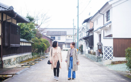 ”プライベートガイドと巡る” 臥龍山荘 と シネマ散策 「6名様」 旅行 ガイド付き ガイド 散策 トラベル 観光 チケット （801）