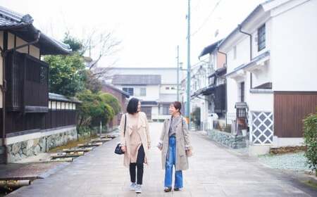 ”プライベートガイドと巡る” 臥龍山荘 と シネマ散策 「9名様」 旅行 ガイド付き ガイド 散策 トラベル 観光 チケット （804）