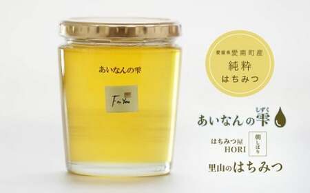 はちみつ 450g 蜂蜜 ハチミツ 蜜 みつ ミツ 常温 国産 愛媛県 【えひめの町(超)推し!(愛南町)】【2025年5月下旬から順次発送予定】(327)