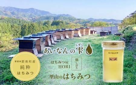 はちみつ 250g 蜂蜜 ハチミツ 蜜 みつ ミツ 常温 国産 愛媛県 【えひめの町(超)推し!(愛南町)】【2025年5月下旬から順次発送予定】(328)