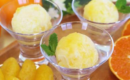 瀬戸内しまなみ柑橘物語 ソルベ9個入 氷菓 3種×3個 紅まどんな  八朔 甘夏 愛媛県 （583）