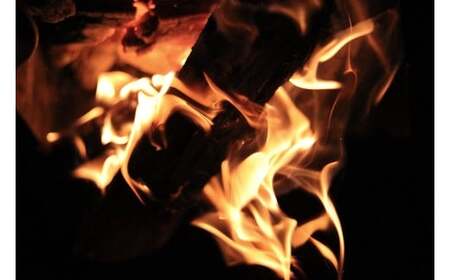 薪(広葉樹 ミックス)約14kg×2箱 計約28kg 長さ約30cm まき 木 木材 薪ストーブ ストーブ 薪割り 割り薪 アウトドア キャンプ キャンプ用品 焚き火 焚火 暖炉 ディスプレイ インテリア 乾燥 国産 愛媛県 松野町【えひめの町(超)推し!(松野町)】(289-1)