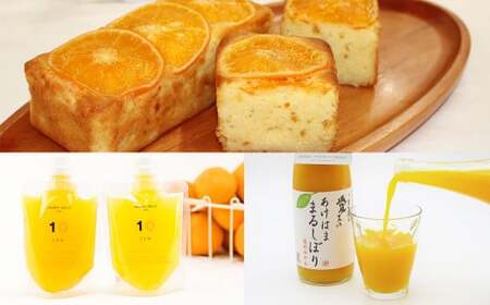 みかん三昧定期便(6ヵ月定期便)みかん ゼリー ギフトセット まどんな ケーキ 2本 ジュース みかんジュース 2本 常温 愛媛県(635)