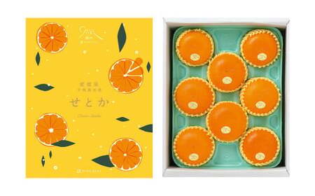 【先行予約】 愛媛県 宇和島産 せとか 秀L～2Lサイズ 1.8kg （8～10個） みかん 果物 フルーツ 【2026年3月上旬～3月下旬発送予定】（870）