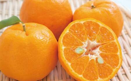 【先行予約】 愛媛県産 ぽんかん 2kg（10～14個） ポンカン 果物 フルーツ 【2026年1月下旬～2月下旬】（876）