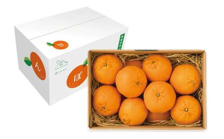 【先行予約】 愛媛県産 ぽんかん 2kg（10～14個） ポンカン 果物 フルーツ 【2026年1月下旬～2月下旬】（876）