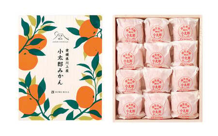 【先行予約】 愛媛県産 小太郎みかん 2Sサイズ 720g（12個） みかん 果物 フルーツ 【2026年1月上旬～1月下旬発送予定】（872）