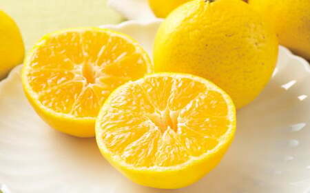 【先行予約】 愛媛県産 媛小春 1.5kg（8～13個） 柑橘 果物 フルーツ 【2026年1月下旬～2月上旬発送予定】（874）