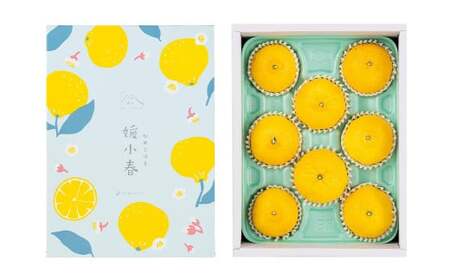 【先行予約】 愛媛県産 媛小春 1.5kg（8～13個） 柑橘 果物 フルーツ 【2026年1月下旬～2月上旬発送予定】（874）