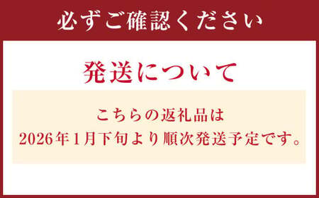 【先行予約】 愛媛県産 媛小春 1.5kg（8～13個） 柑橘 果物 フルーツ 【2026年1月下旬～2月上旬発送予定】（874）