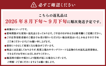 内子町産 シャインマスカット 青秀以上 3～5房入 約2kg 【2026年8月下旬～9月下旬迄発送予定】 【えひめの町（超）推し！（内子町）】（445）
