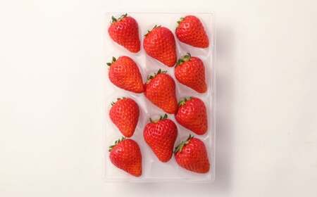 大三島産 「 あまおとめ 」 約270g×2パック 果物 くだもの フルーツ 果実 苺 いちご イチゴ ストロベリー 完熟 冷蔵 愛媛県 【2026年1月上旬-5月下旬発送予定】（507） 