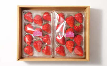 大三島産 「 あまおとめ 」 約270g×2パック 果物 くだもの フルーツ 果実 苺 いちご イチゴ ストロベリー 完熟 冷蔵 愛媛県 【2026年1月上旬-5月下旬発送予定】（507） 