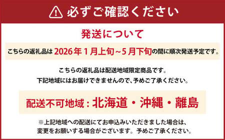 大三島産 「 あまおとめ 」 約270g×2パック 果物 くだもの フルーツ 果実 苺 いちご イチゴ ストロベリー 完熟 冷蔵 愛媛県 【2026年1月上旬-5月下旬発送予定】（507） 