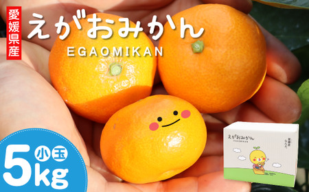 えがおみかん （南柑20号） 5kg みかん 蜜柑 ミカン くだもの 果物 フルーツ 愛媛県 温州みかん 【2025年12月上旬-2026年1月上旬発送】 （562-1）