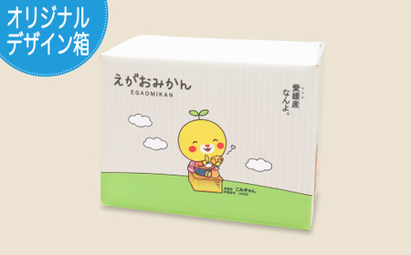 えがおみかん （南柑20号） 5kg みかん 蜜柑 ミカン くだもの 果物 フルーツ 愛媛県 温州みかん 【2025年12月上旬-2026年1月上旬発送】 （562-1）