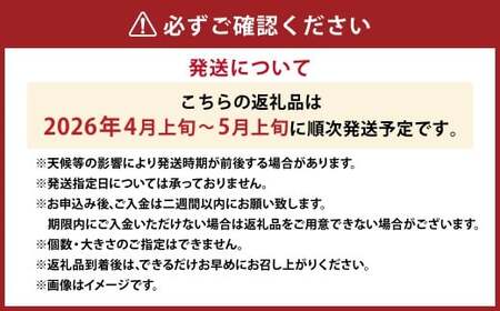 カラマンダリン L～Mサイズ （約5kg） 柑橘 果物 くだもの フルーツ 【2026年4月上旬～2026年5月上旬発送予定】(523)