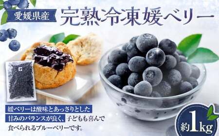 完熟 冷凍 媛ベリー 【約1kg】 ブルーベリー 果物 果実 フルーツ 愛媛県 （894）