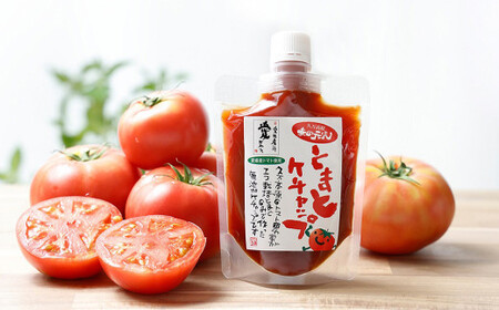 赤の元気 トマトケチャップセット【6個】※ドライトマト付 ケチャップ ドライトマト トマト 調味料 加工品 野菜 食料 濃厚 愛媛県 常温 （911）