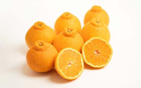 【訳あり】 不知火 2.5kg 柑橘 訳あり みかん 蜜柑 ミカン フルーツ 果物 くだもの 愛媛みかん 愛媛県産 【2026年2月下旬-3月下旬発送予定】【えひめの町（超）推し！（愛南町）】（568）