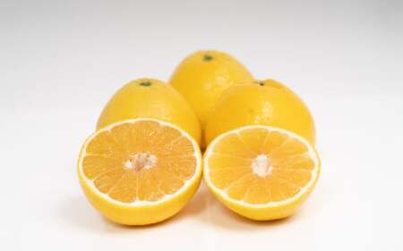 【訳あり】 河内晩柑 5kg 晩柑 柑橘 訳あり みかん 蜜柑 ミカン フルーツ 果物 くだもの 愛媛みかん 愛媛県産 【2026年4月下旬～5月下旬発送予定】【えひめの町（超）推し！（愛南町）】（570）