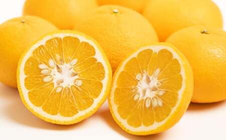 【訳あり】 甘夏 10kg 柑橘 訳あり みかん 蜜柑 ミカン フルーツ 果物 くだもの 愛媛みかん 愛媛県産 【2026年2月下旬～3月下旬発送予定】【えひめの町（超）推し！（愛南町）】（571-1）