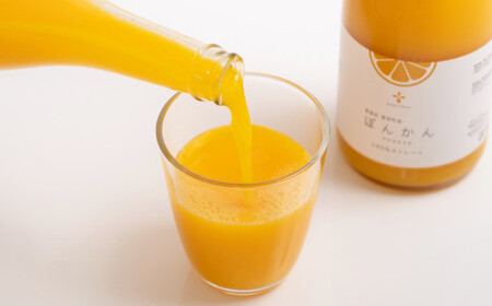 無添加 果汁100％ ぽんかんジュース 720ml×3本入 ポンカン ぽんかん 柑橘 みかん 蜜柑 ミカン 飲料 ジュース 100％ 愛媛みかん 愛媛県産 【2026年4月上旬～12月上旬まで発送予定】【えひめの町（超）推し！（愛南町）】（572-1）