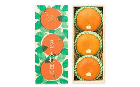 【先行予約】 愛媛県産 大将甘平 特秀3L・4Lサイズ800g（3個） かんぺい みかん 果物 フルーツ 【2026年2月上旬～2月下旬発送予定】（871）