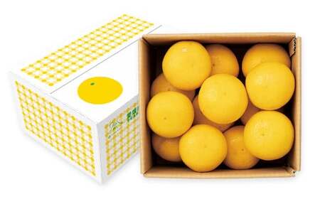 愛媛県産 河内晩柑 4kg（12～14個） 晩柑 果物 フルーツ 【2026年5月下旬～6月上旬発送予定】（873）