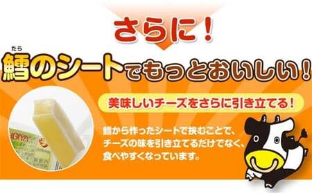 チーズおやつカマンベール 48本入り×1箱セット （計134.4g） チーズ カマンベール おやつ 加工品 個包装 セット 愛媛県 常温 【えひめの町（超）推し！（松前町）】 （942）