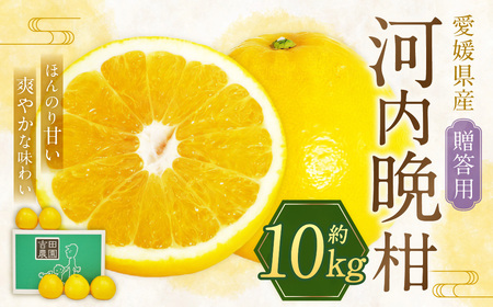 【2026年4月上旬より順次発送】贈答用 河内晩柑 10kg【えひめの町(超)推し!(愛南町)】(383-1)