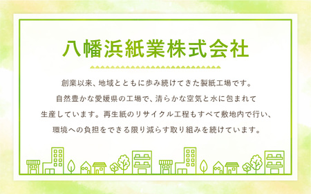 プリントロール （フラワープリント） 55mダブル 12ロール 2パック 計24ロール トイレットペーパー 花柄 日用品 消耗品 愛媛県 （1024）