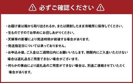 【希望の島】レモン特選品中玉2kg 愛媛県 松山市 中島産 レモン れもん 檸檬 贈答用 果物 フルーツ 調味料 農家直送 国産 常温 【2026年6月下旬迄順次発送予定】(1012)
