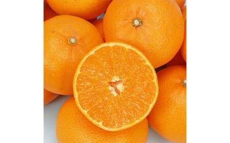 【希望の島】 せとか 特選品 中玉 2kg 愛媛県 松山市 中島産 柑橘 贈答用 果物 くだもの フルーツ デザート 国産 常温 【2026年3月上旬～3月下旬迄順次発送予定】（1019）