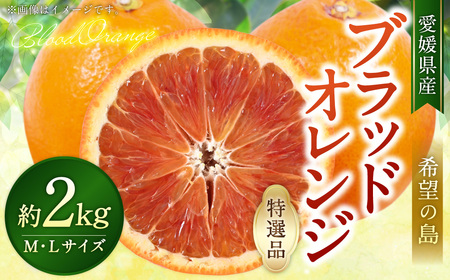 【希望の島】 ブラッドオレンジ 特選品 中玉 2kg 愛媛県 松山市 中島産 オレンジ 柑橘 贈答用 果物 くだもの フルーツ デザート 国産 常温 【2026年3月上旬～4月下旬迄順次発送予定】（1021）