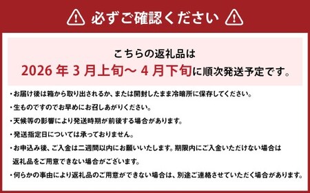 【希望の島】 ブラッドオレンジ 特選品 中玉 2kg 愛媛県 松山市 中島産 オレンジ 柑橘 贈答用 果物 くだもの フルーツ デザート 国産 常温 【2026年3月上旬～4月下旬迄順次発送予定】（1021）