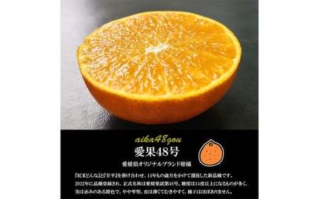 【希望の島】 愛果48号 特選品 中玉 2kg 愛媛県 松山市 中島産（1022） 【2026年3月下旬～4月下旬迄順次発送予定】 みかん 特選品 果物 フルーツ デザート オリジナルブランド 国産 常温 愛媛県