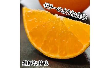 【希望の島】 愛果48号 特選品 中玉 2kg 愛媛県 松山市 中島産（1022） 【2026年3月下旬～4月下旬迄順次発送予定】 みかん 特選品 果物 フルーツ デザート オリジナルブランド 国産 常温 愛媛県