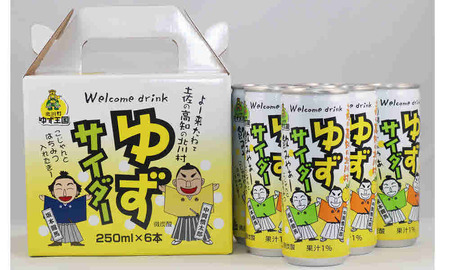 【A06018】北川村ゆずサイダー６本セット