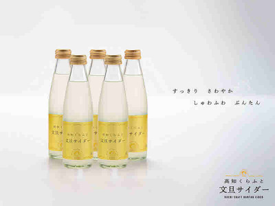 【B06055】高知くらふと文旦　サイダー　5本セット