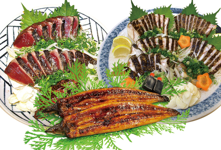 【E06003】かつお・うつぼ・うなぎ食べ比べセット