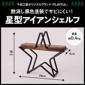 星型アイアンシェルフ [093S06]